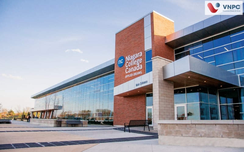 Du học Canada tại Niagara College: Ngành học, học phí, học bổng